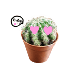 Cactus cutelove（個別スタンプ：7）