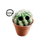 Cactus cutelove（個別スタンプ：8）