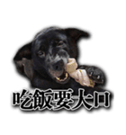 Ms.Black with his joyful friends.（個別スタンプ：2）