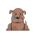 Brown doggy（個別スタンプ：1）