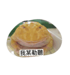 Cranwell's horned frog（個別スタンプ：3）