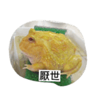 Cranwell's horned frog（個別スタンプ：5）