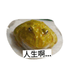 Cranwell's horned frog（個別スタンプ：6）