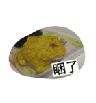 Cranwell's horned frog（個別スタンプ：17）