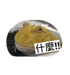 Cranwell's horned frog（個別スタンプ：20）