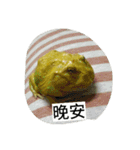 Cranwell's horned frog（個別スタンプ：26）