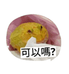 Cranwell's horned frog（個別スタンプ：28）