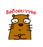 Super Beaver（個別スタンプ：3）