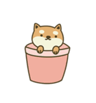 Shiba Inu (Shiba-Dog) Little Butt 9（個別スタンプ：31）