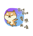 Shiba Inu (Shiba-Dog) Little Butt 9（個別スタンプ：40）