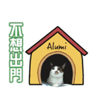 Alumi's Life（個別スタンプ：11）