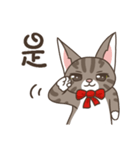 Kitty Anna's Daily Life（個別スタンプ：1）