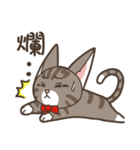 Kitty Anna's Daily Life（個別スタンプ：15）