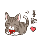 Kitty Anna's Daily Life（個別スタンプ：17）