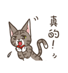 Kitty Anna's Daily Life（個別スタンプ：18）