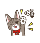 Kitty Anna's Daily Life（個別スタンプ：26）