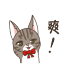 Kitty Anna's Daily Life（個別スタンプ：30）