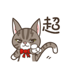 Kitty Anna's Daily Life（個別スタンプ：31）