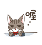 Kitty Anna's Daily Life（個別スタンプ：36）