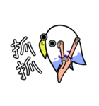 a funny parrot（個別スタンプ：1）