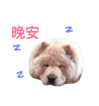 chowchow leebai（個別スタンプ：2）