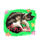 マカロンCAT01（個別スタンプ：32）