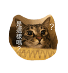 Migubon #1（個別スタンプ：1）