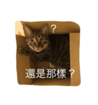 Migubon #1（個別スタンプ：2）
