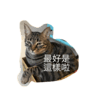 Migubon #1（個別スタンプ：3）