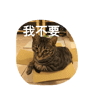 Migubon #1（個別スタンプ：4）