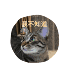 Migubon #1（個別スタンプ：5）