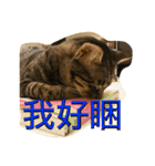 Migubon #1（個別スタンプ：7）