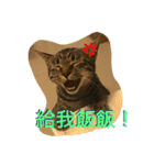 Migubon #1（個別スタンプ：8）