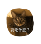 Migubon #1（個別スタンプ：9）