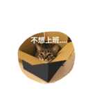 Migubon #1（個別スタンプ：11）