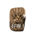 Migubon #1（個別スタンプ：13）