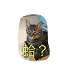 Migubon #1（個別スタンプ：15）