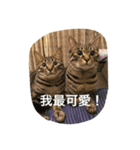 Migubon #1（個別スタンプ：16）