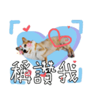 GAGA DOG（個別スタンプ：22）