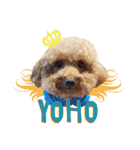 yoho woof again（個別スタンプ：16）