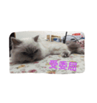 Elle's cats（個別スタンプ：5）