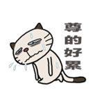 Confused fat cat（個別スタンプ：38）