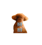 DodoDog（個別スタンプ：16）