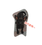Dog doy（個別スタンプ：2）