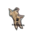 Dog doy（個別スタンプ：7）