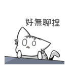 White cat and potato friend III（個別スタンプ：24）