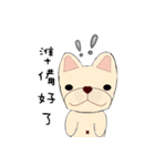 courage planet's French Bulldog（個別スタンプ：13）