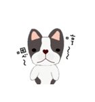 courage planet's French Bulldog（個別スタンプ：23）