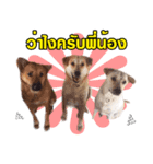 the dog lovers（個別スタンプ：2）