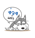 Ragnar hagan husky（個別スタンプ：3）